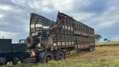Imagem da notícia PMA descarta contaminação ambiental em área de descarte de bovinos na Serra Sucuriú, em Paraíso das Águas